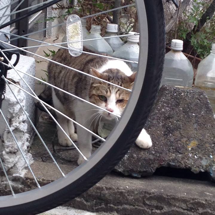 63dac888 d588 43b6 8552 87ea4b54598d 1511001341149