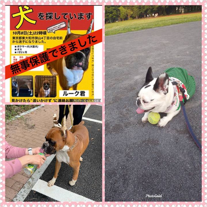 63dada10 2663 4a39 acf0 d4547365439f 1665617445848