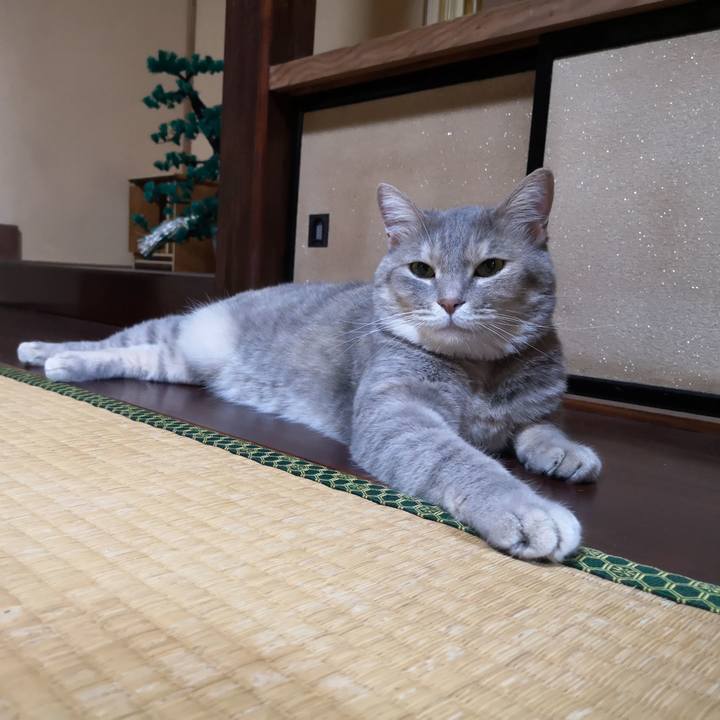 63dade47 97b9 4122 97dd 96111aee50ff 1593351879829