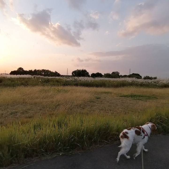 63db1618 fd29 4ee0 8b9d e6a31128f8ab 1572596576743