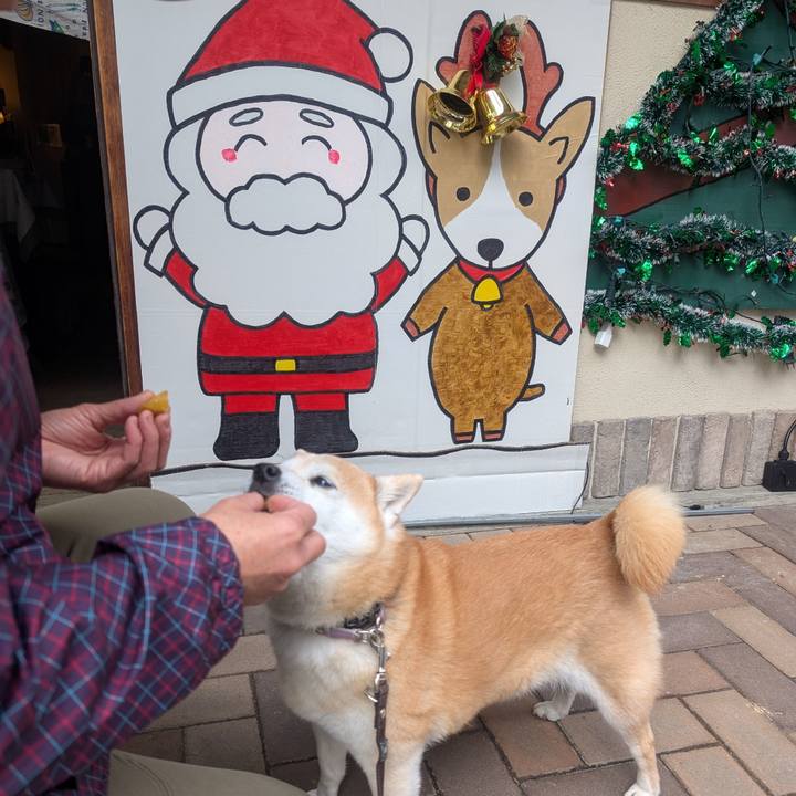 63db271c 9389 4a1d 98e8 fda987396d38 1766369371719