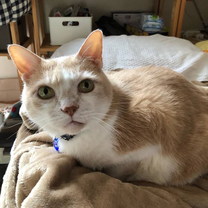 63db27fd bf2d 438c 8f91 f4c77a865e4b 1555040329232