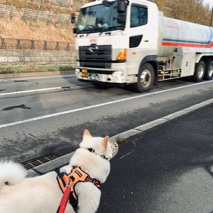 63db2f6f 3c86 4689 b68a 19b07029467e 1650664800737