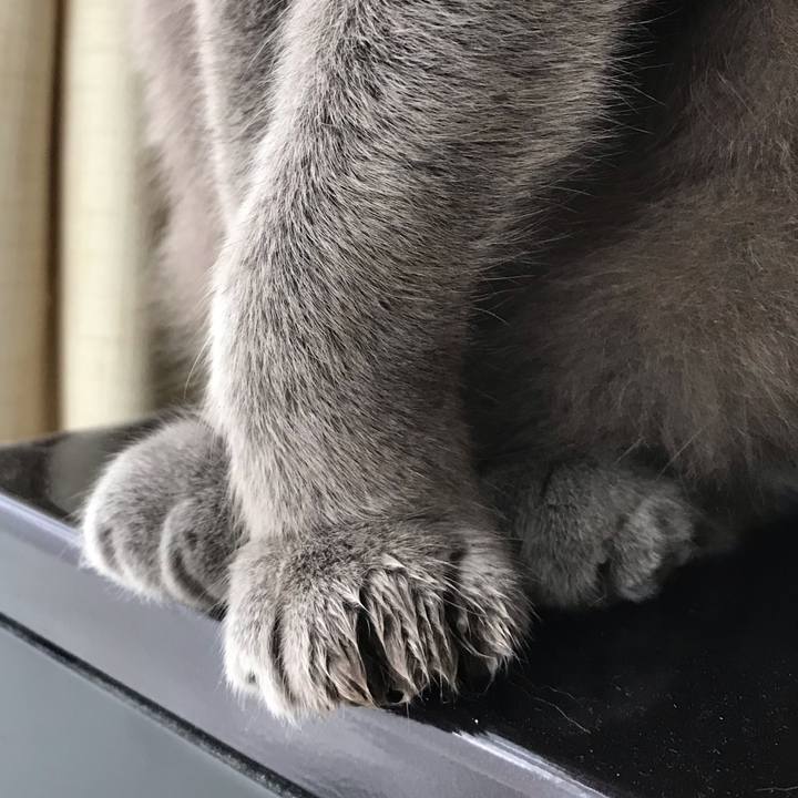 63db3385 62db 4f42 8f73 04fa84981abc 1554424168693