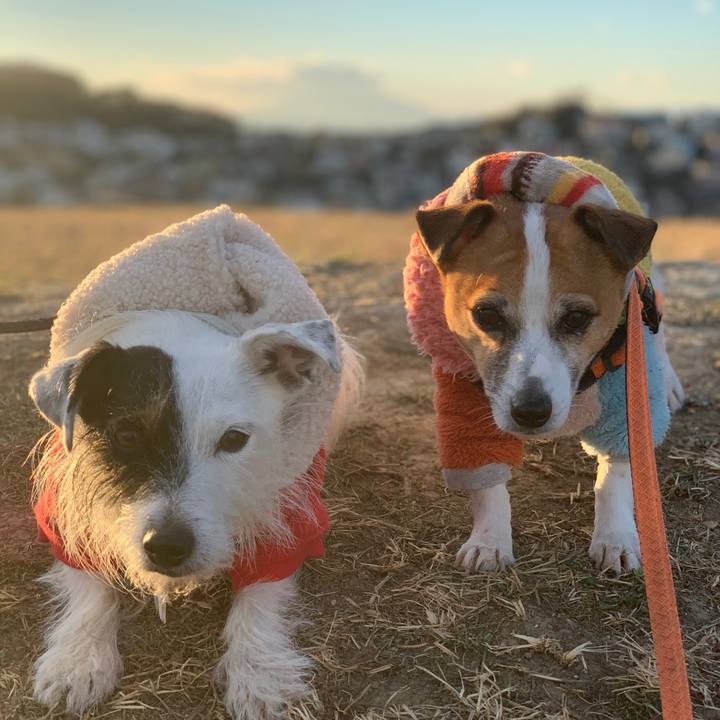 63db3c5a 4ce0 48ab bd96 77e44760119b 1610092347539