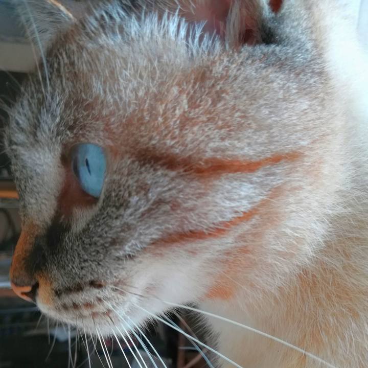 63db7c35 f615 466f a045 1fba7c4c0f4a 1534382390757