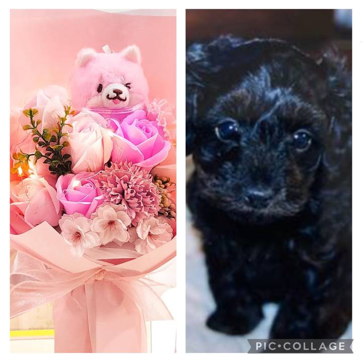 63db8eca fb3d 408f 9647 ba17375ed752 1764042307535