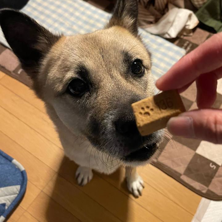 63dba5cf 3562 4fd8 ac3e 957f75e9a776 1654606548939