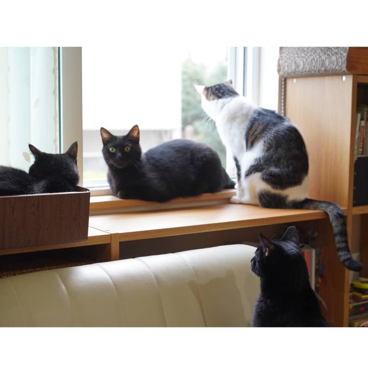 63dbfc66 7a2c 45b9 b9cb 74c86acff00c 1571232936369