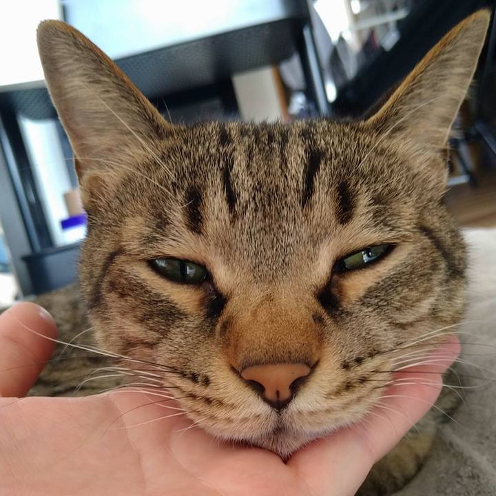 63dc32a8 87ee 49a2 a52a 8a8663c2074b 1668230209632