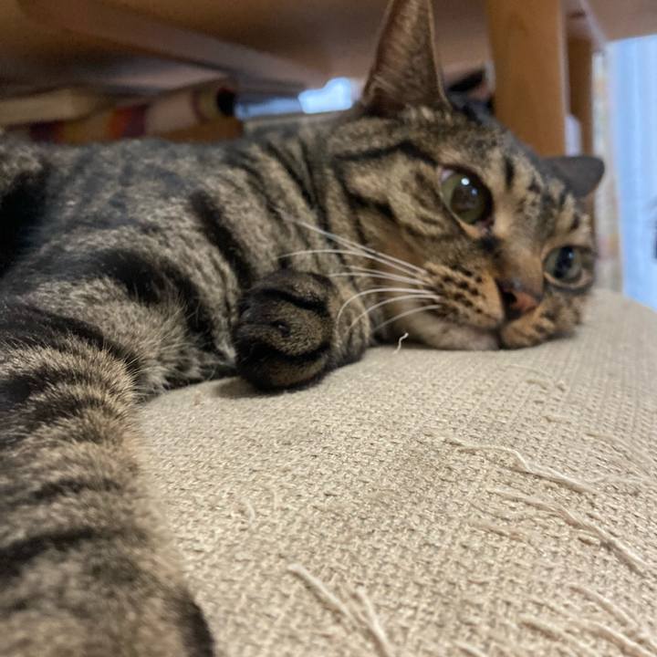 63dc38c3 2288 45a7 ad14 79b21535a844 1628938245373