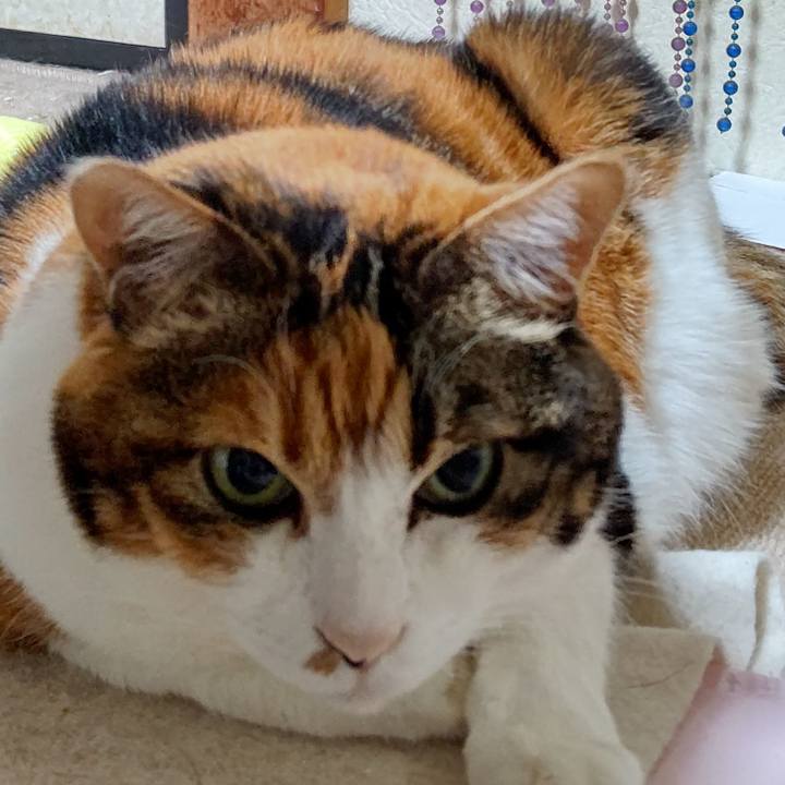 63dc42dd 73af 4268 bf7d 9fa900e78058 1637185673075