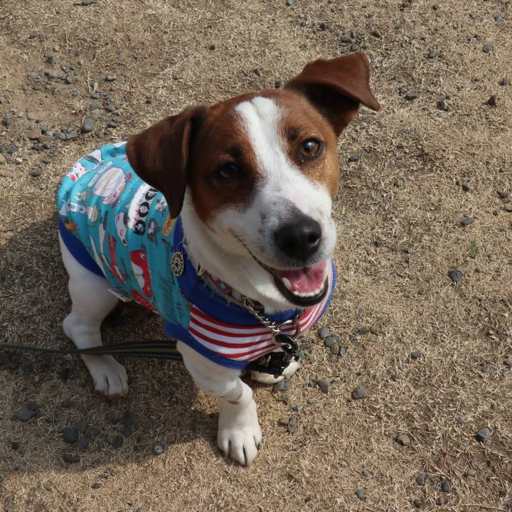 63dc4c67 8196 4ee2 9566 849e1e30a517 1519539505220