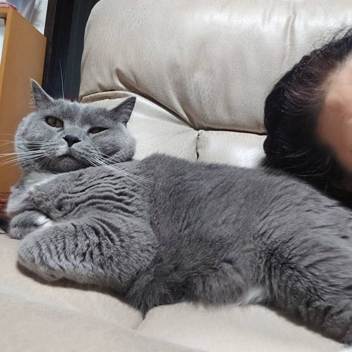 63dc6f4b 00f1 43cd ab2c db156b67aa0f 1651914616076