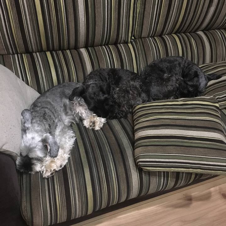 63dc7acc 348a 4dfc beb6 bc0adeb72128 1510152143063