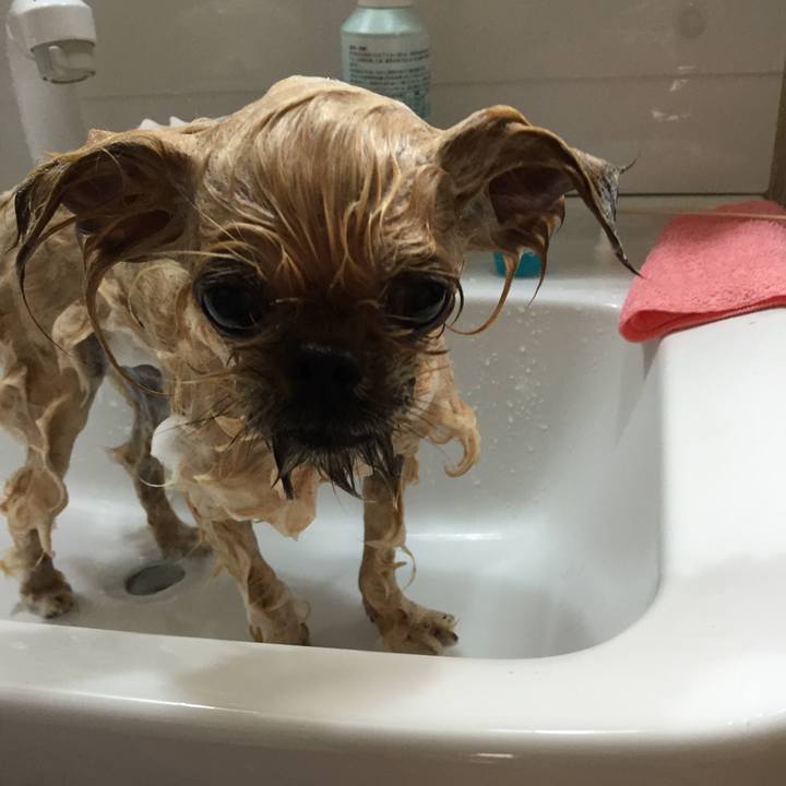 63dc7e38 a3fe 4adc 912f bf62f2d7bdfa 1686024574480