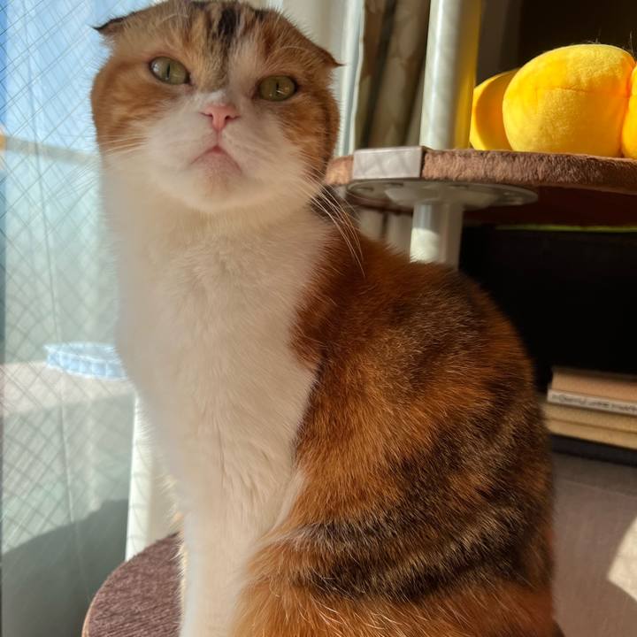 63dc8060 24f7 4803 9e7b 3ae1793efe51 1670672209529