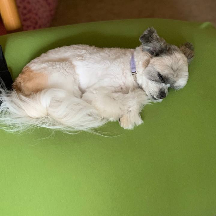 63dc8cde 8ae2 4516 aede 2db82ba6076b 1571097681003