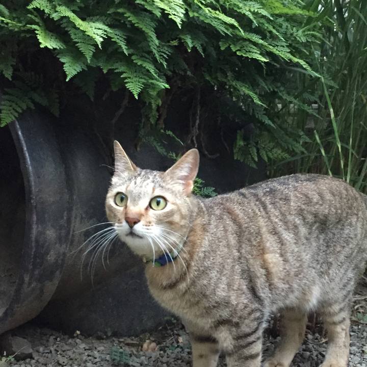 63dc9f34 abb3 4a21 a346 32dc8e47d1c5 1528549768563