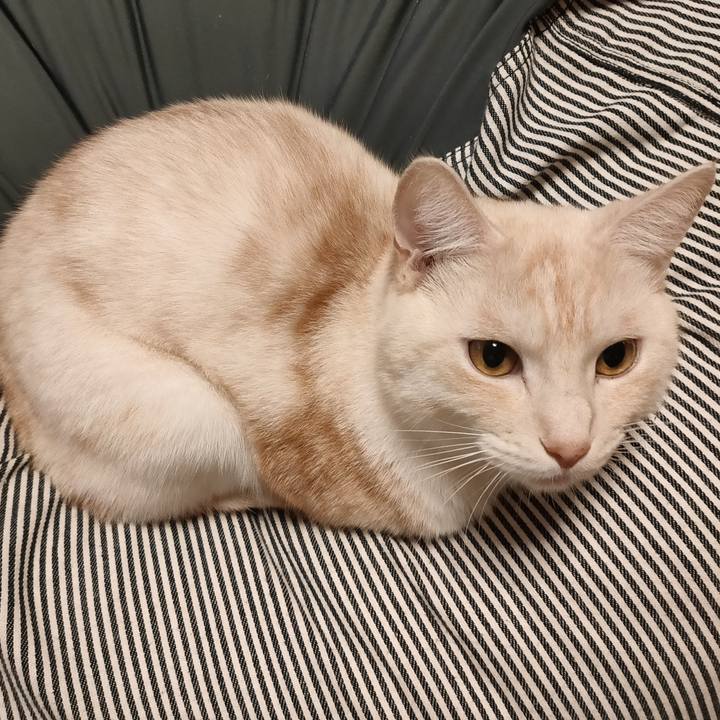 63dca4bb 86f0 4ecf 9037 08dc8ea703a1 1666175108401