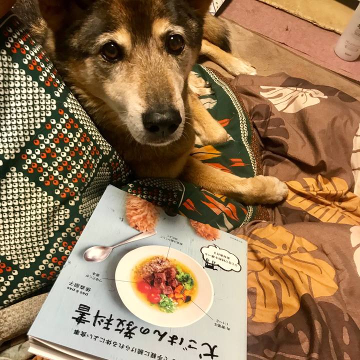 63dca93c cacc 4b92 a176 ccbfebb7ea86 1554636710676