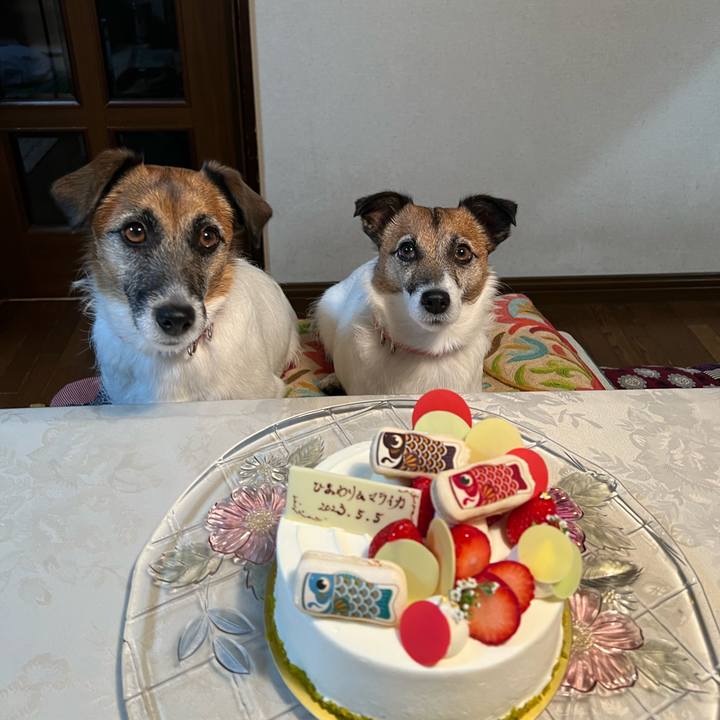 63dcb71d 0475 4436 8ad7 acaed2da5e56 1683282024904