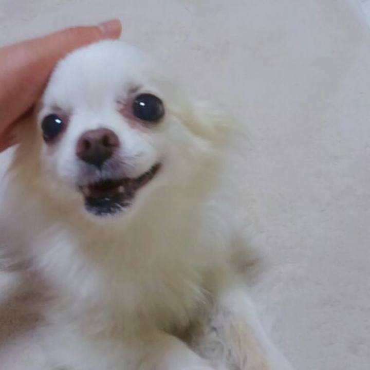 63dcdbd3 6919 4371 b151 45108197ecd5 1530786323912