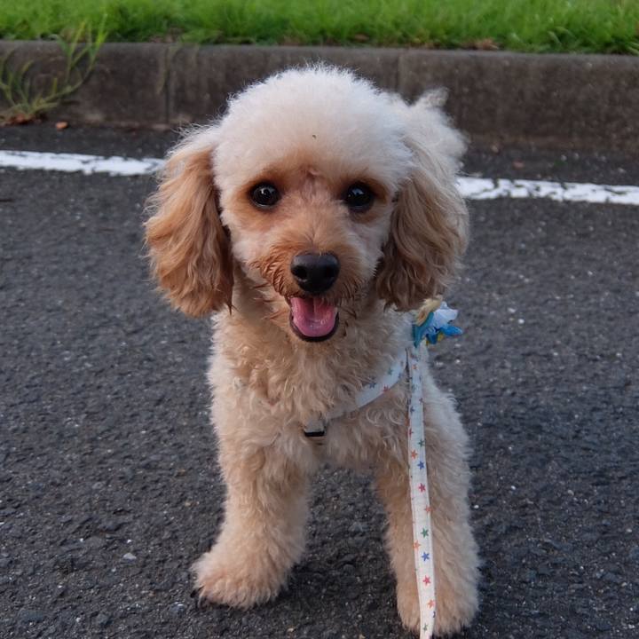 63dce346 a50c 4e3d 8f3b 7f06194ee210 1537147411228