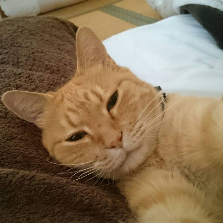 63dd0dd5 b3c7 4727 b358 7dcf90e47e5c 1525052899644