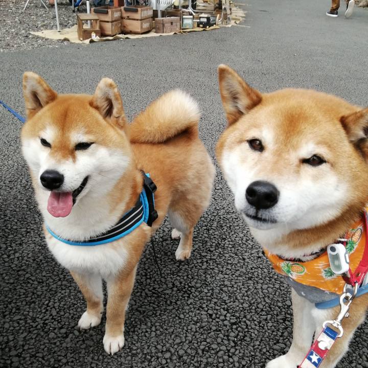 63dd1955 2e4e 4a90 b7c4 8754ae610d9b 1648373013587