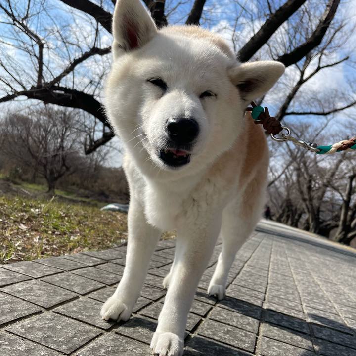 63dd38ce 3c8b 4002 ba0d 75d135062970 1706418257879