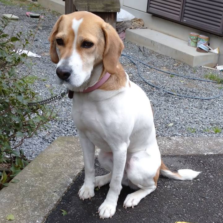 63dd4373 22fb 4950 ba7f 6da4dcc44a4c 1585361862227