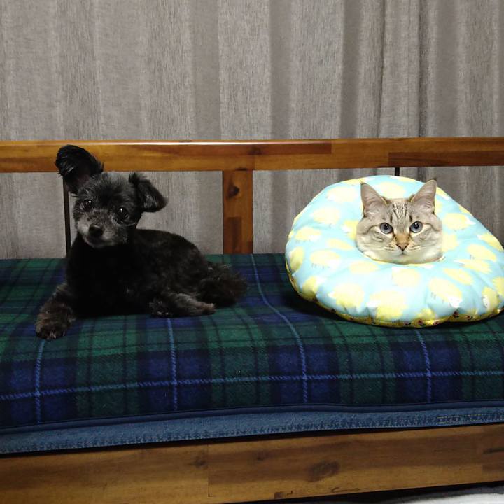 63dd4671 9580 468c a44b 04b7f94f70da 1673869075852