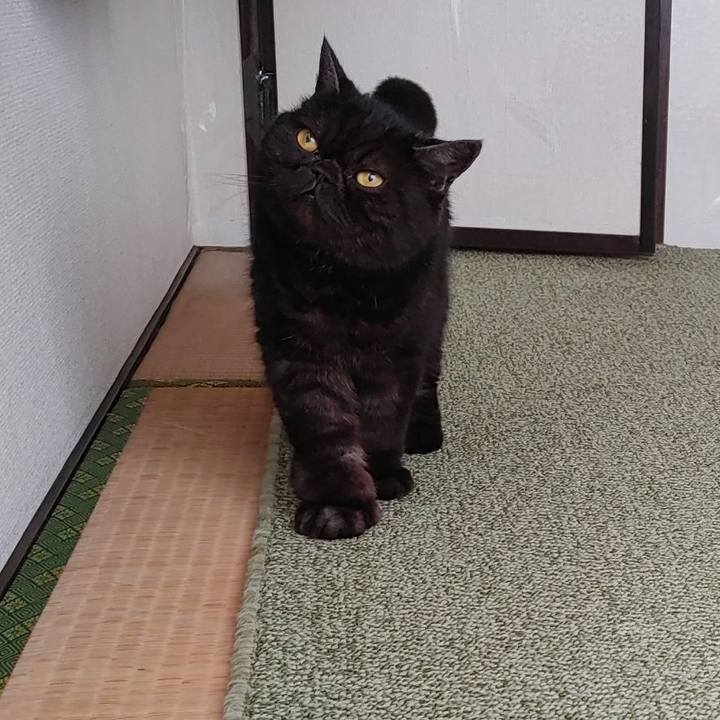 63dd68f9 2858 450d a5ec 8ffccf4d0691 1682164187169