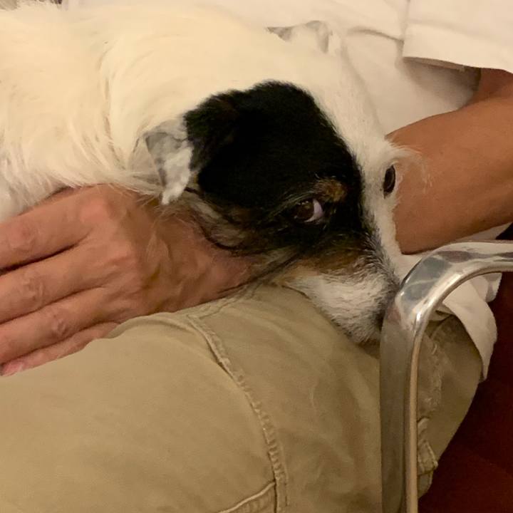 63dd6cf2 71c4 4cd4 8e26 789f6d961eaa 1685705564214