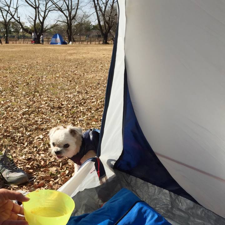 63dd8873 8450 49a5 a3f1 4e8e84f6a7c2 1549181545846