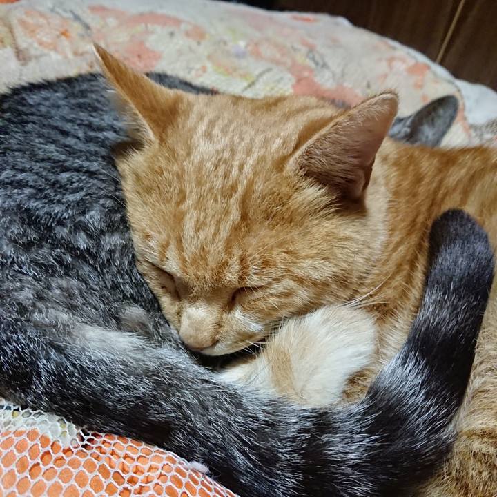 63dda99a 84f0 4be8 a3d7 84ae2927f7a9 1573910165385