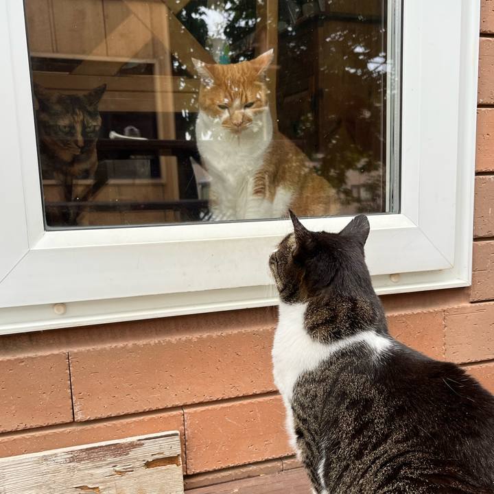 63de44cc 9edd 4b5b b031 53371eb9eebb 1752615142054