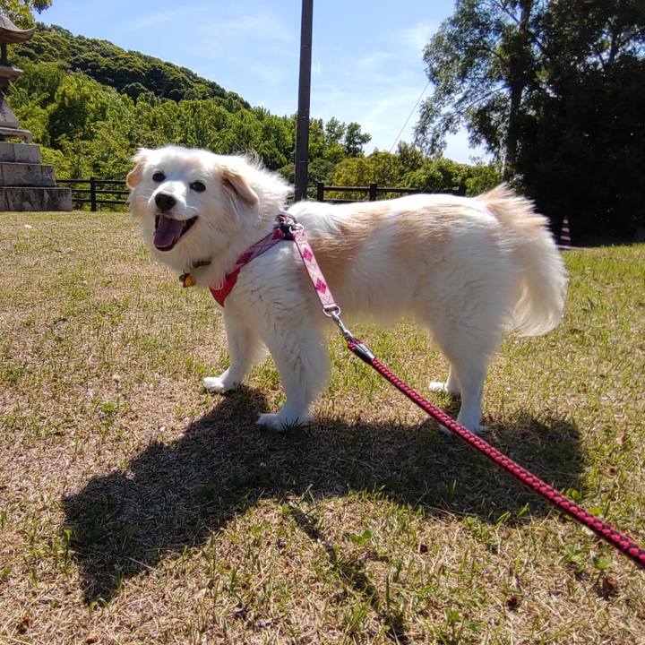 63de4597 0e21 4dbb 8e9b 7cb8a7c12b15 1654324942584