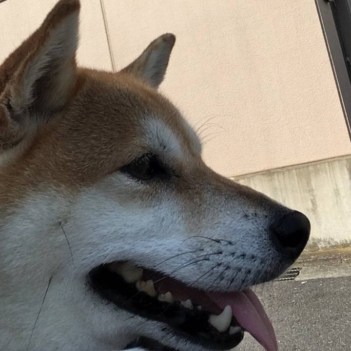 63de75ec 8d2c 4daa 8f42 2fb1ff68fe07 1564878737929