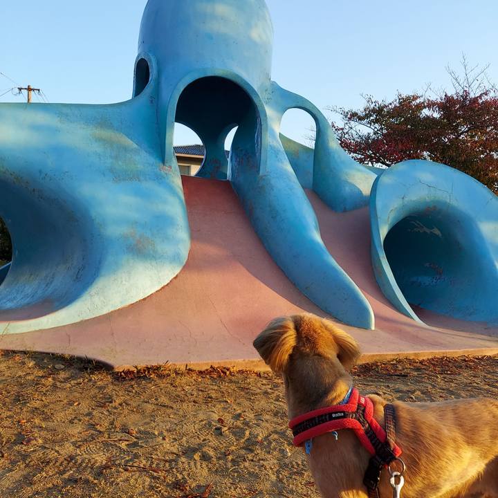 63de8e34 78c4 4045 89f0 e8ab5c751230 1667862806340