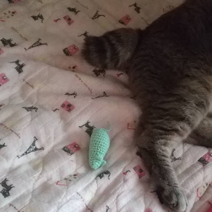 63de9212 82cd 4515 84f8 4d1b7220778a 1631930719476