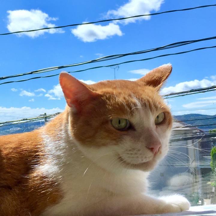 63de9f45 edbd 4fb6 a5d5 229220160631 1569294764849