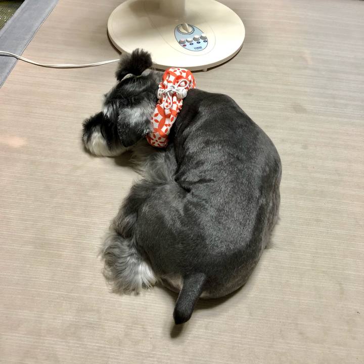 63dea98e 41a1 46ab adb4 6b7d900c5ab4 1660129611498