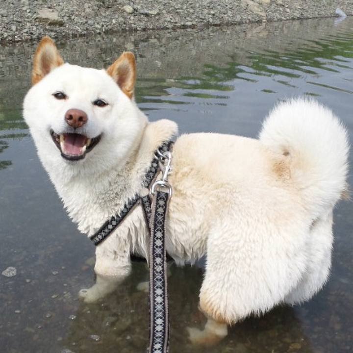 63deb3ef bbfd 45ad 9ea4 b4f6bb797577 1634038661387