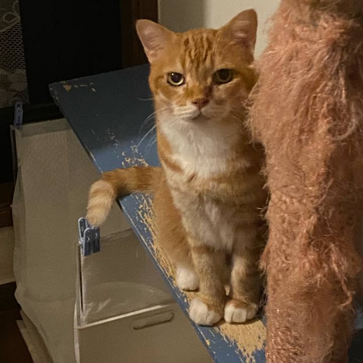 63ded4b6 82ee 4411 98b8 fc3e9aad5e37 1662837798806