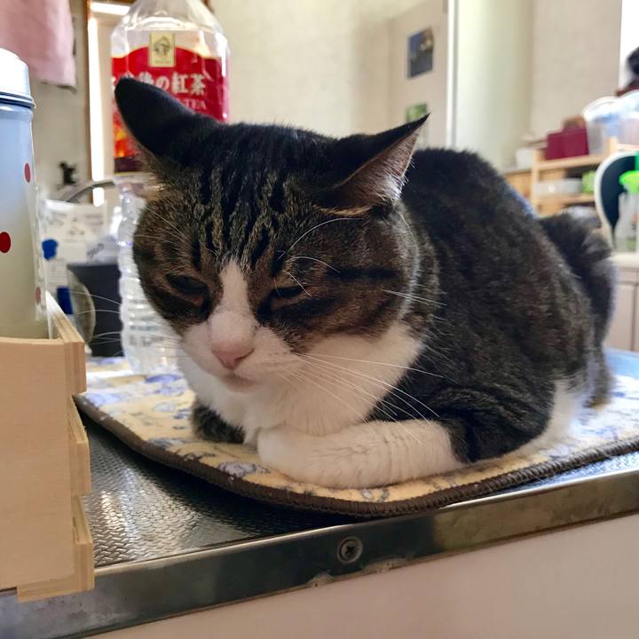 63ded52b 7b3a 490a 9c0e 0682d86e96d0 1531461814541