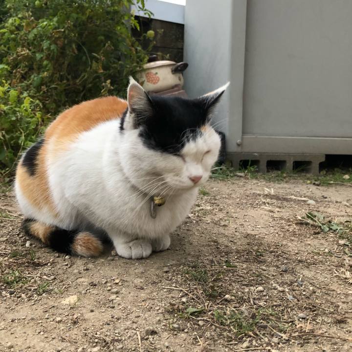 63df068a 1665 47b7 8581 676f1793a1e5 1608244085087