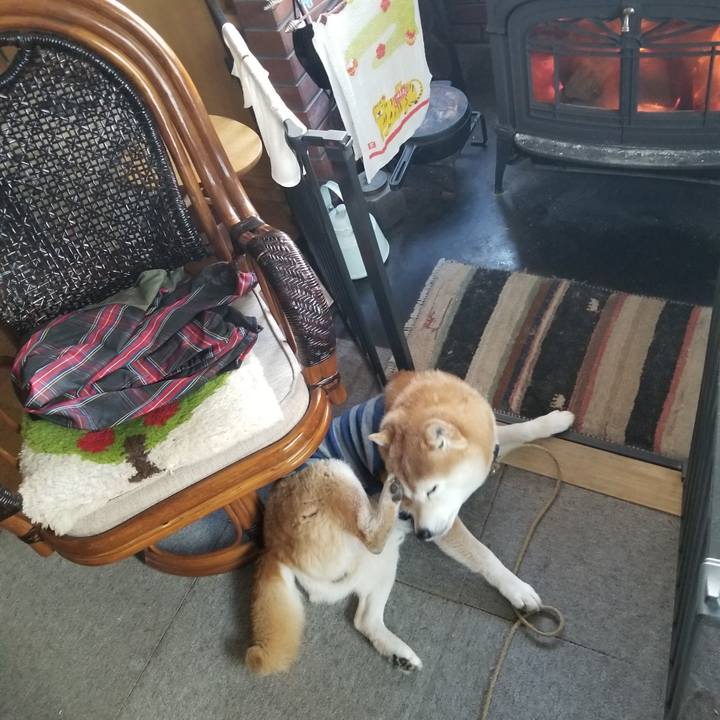 63df404f 6cf9 439b 9825 54c8a930a302 1675143551535