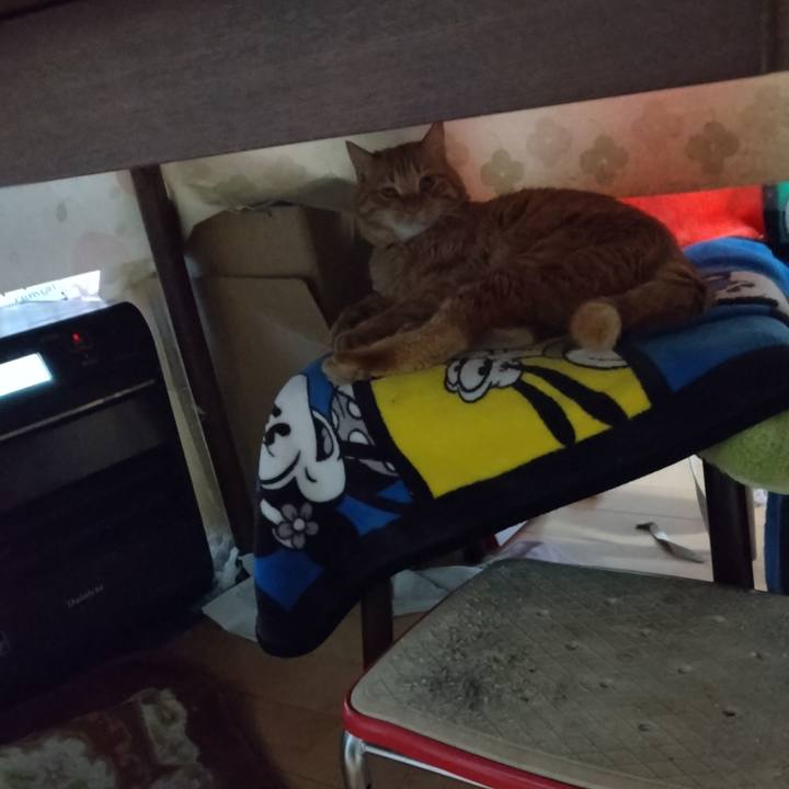 63df5639 52bb 4ca5 b7c6 56155071388e 1671403701688